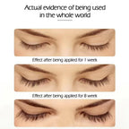 MCD Eyelash Growth Serum